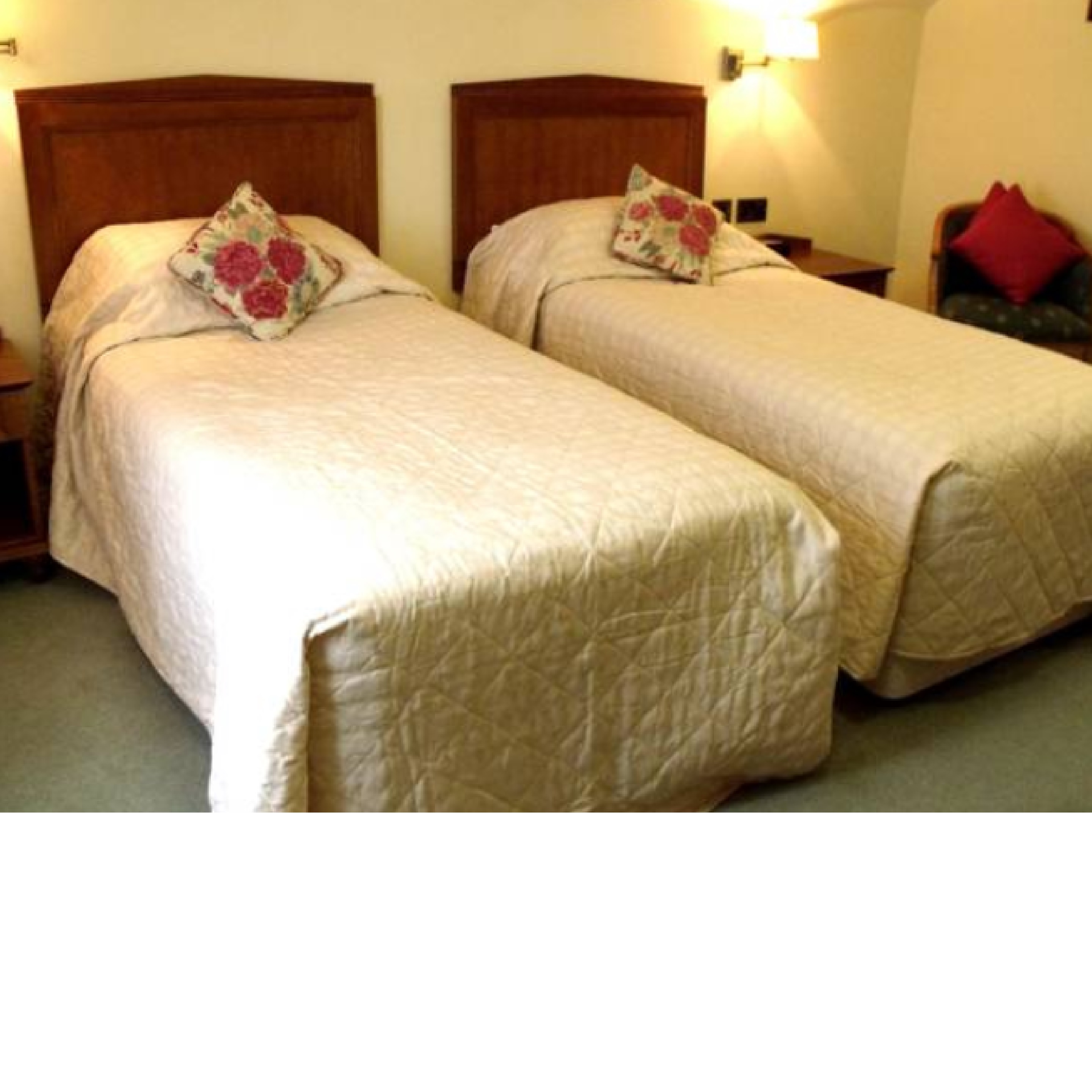 The Feathers Hotel