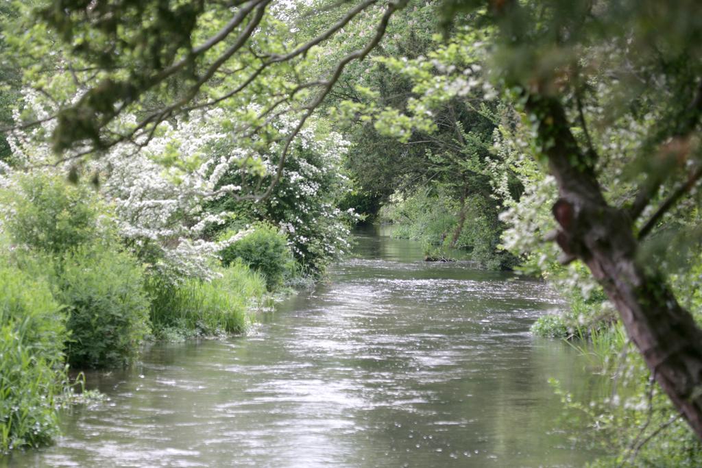 Donnington Grove