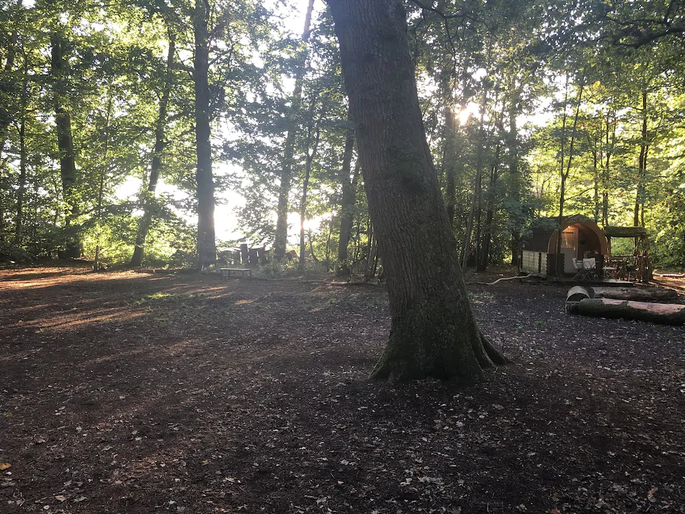 Hollington Park Glamping