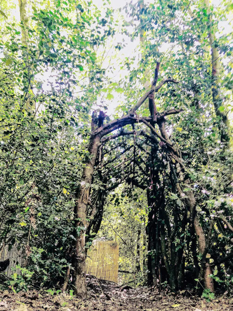 Hollington Park Glamping