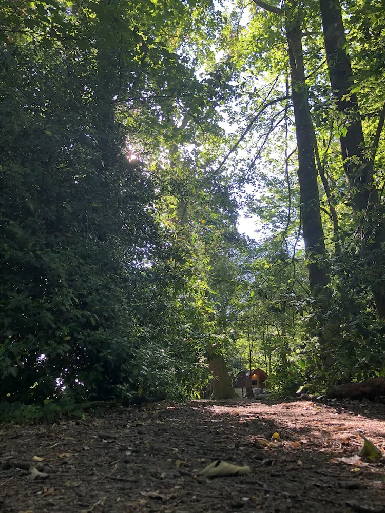 Hollington Park Glamping