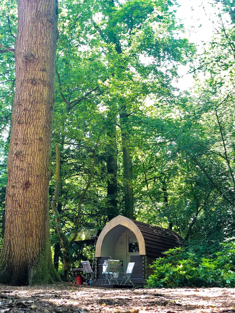 Hollington Park Glamping