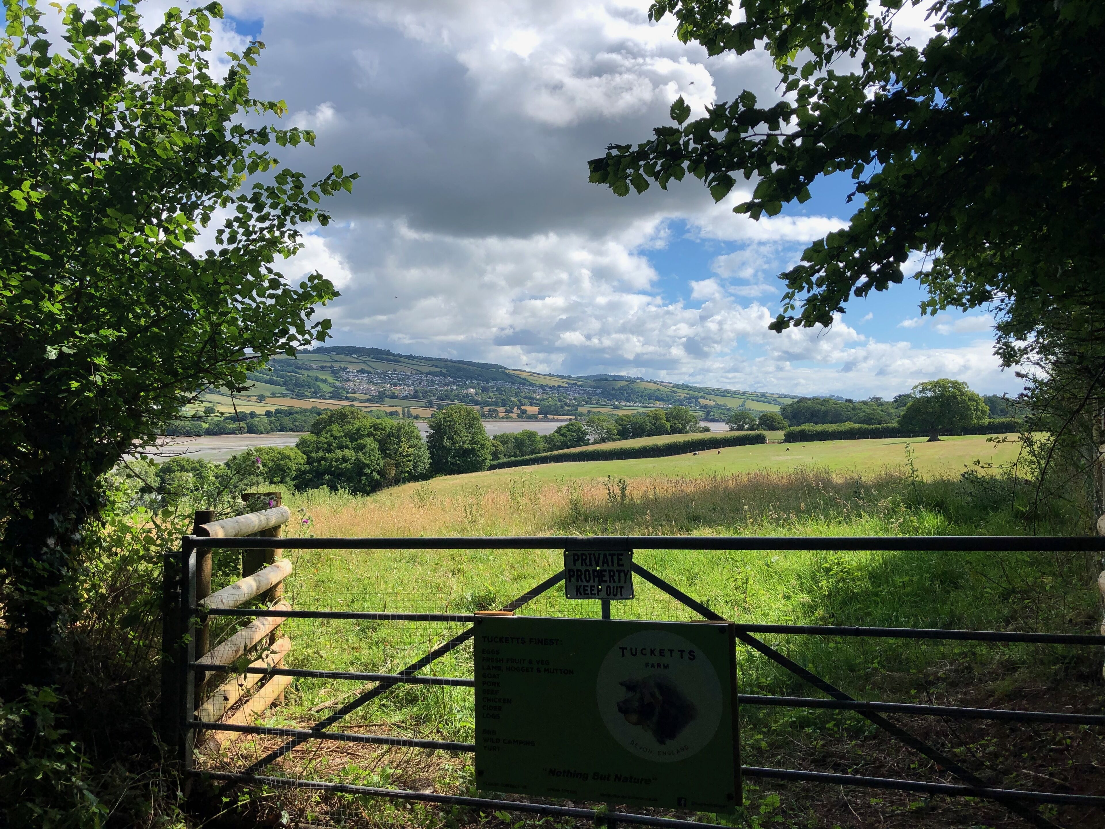 Hartree Guest House