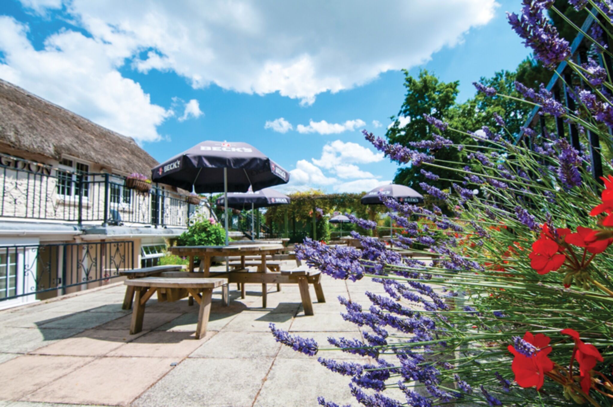 Butterfly Lodge