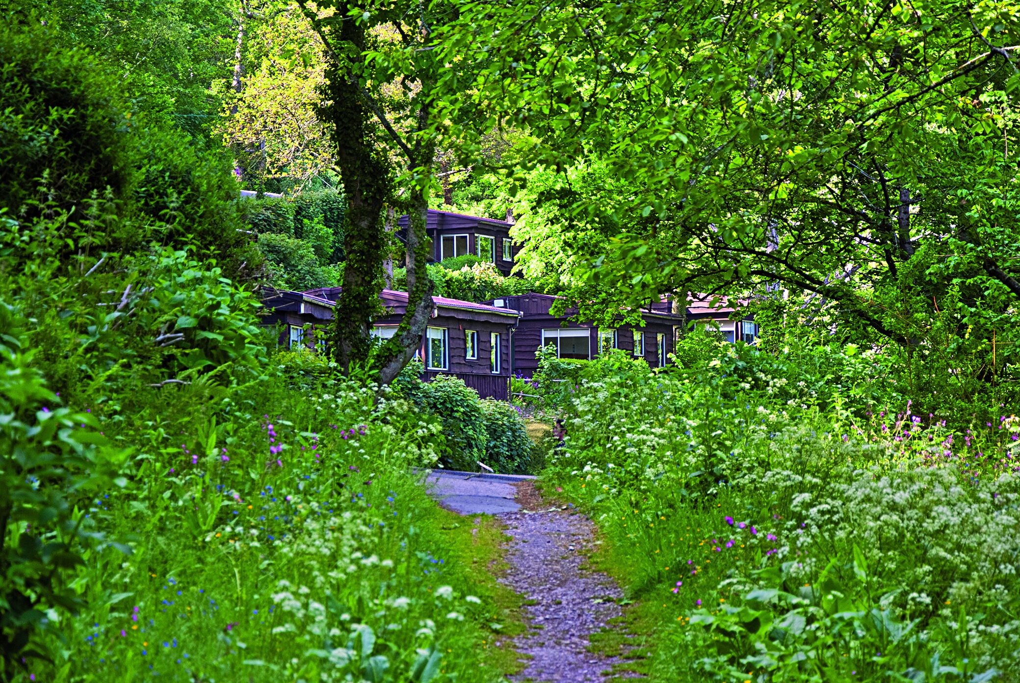 Churchwood Valley