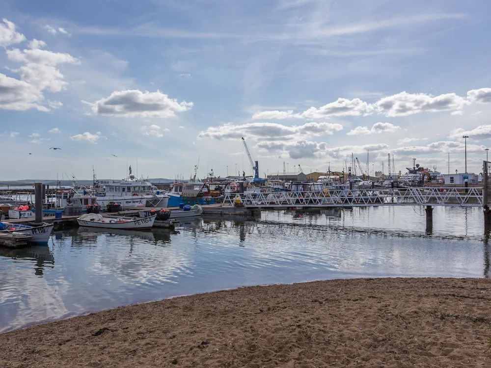 Horizon Poole