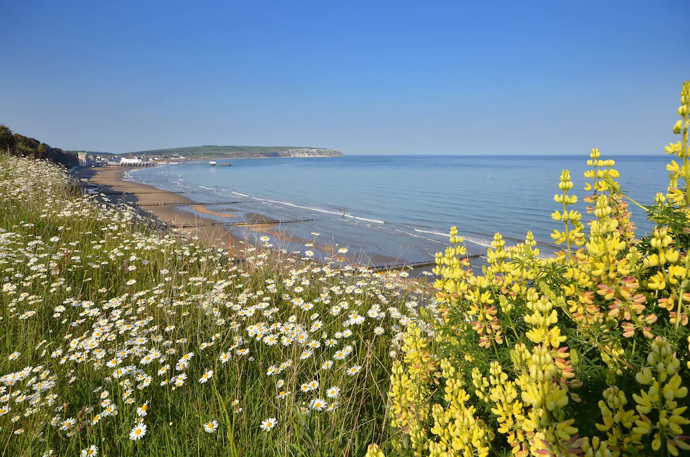 Sandown Bay Holiday Centre