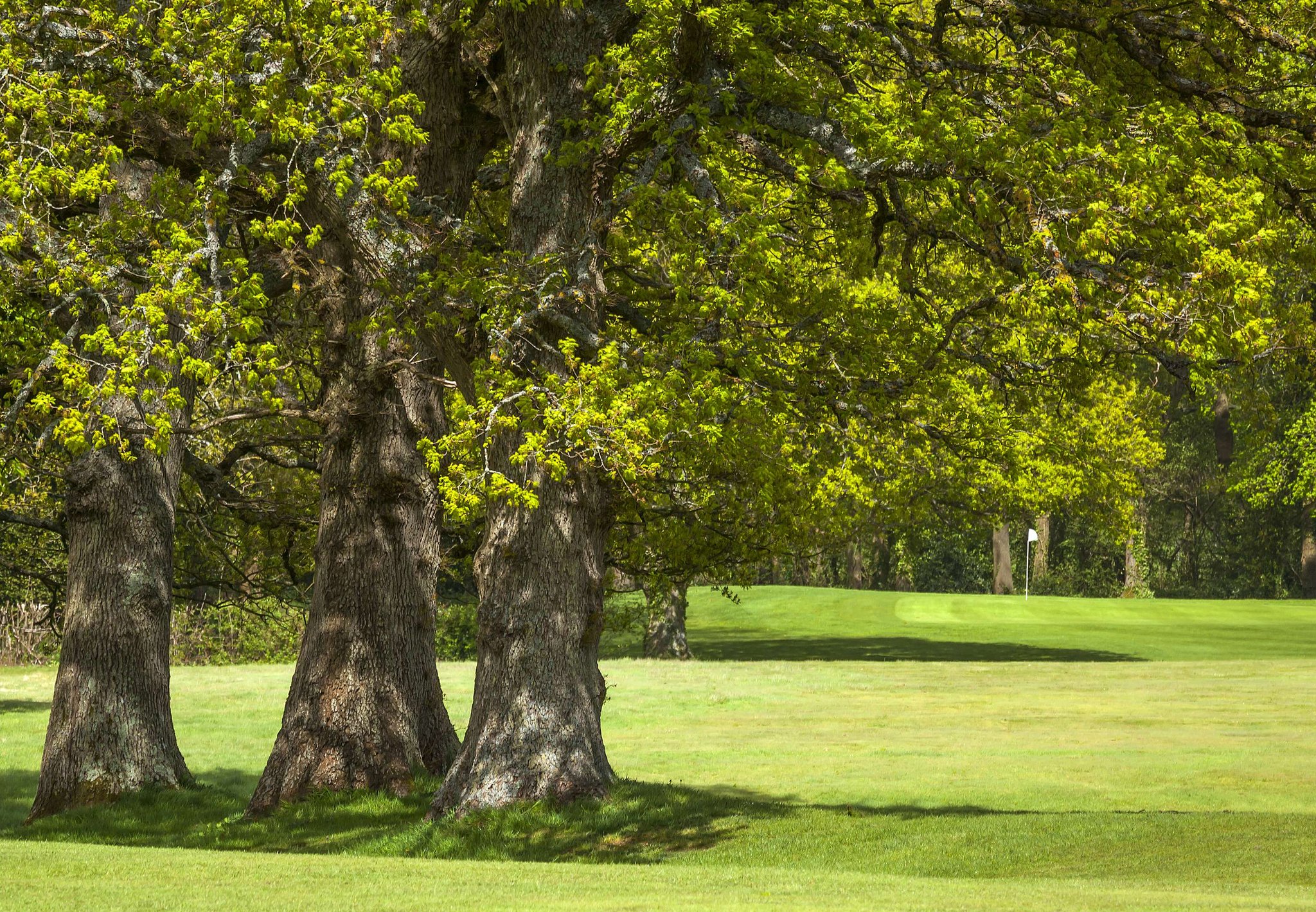 Meon Valley Hotel, Golf & Country Club