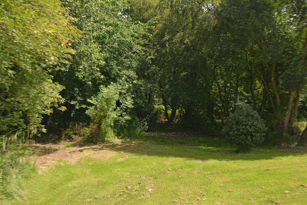 Woodland Cottage