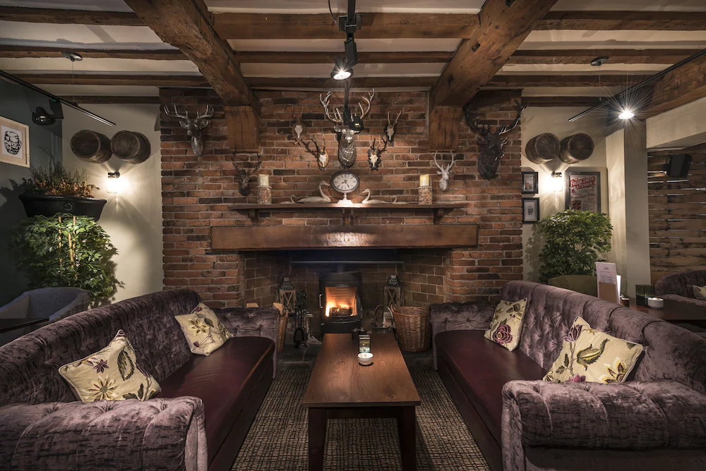 The Swan