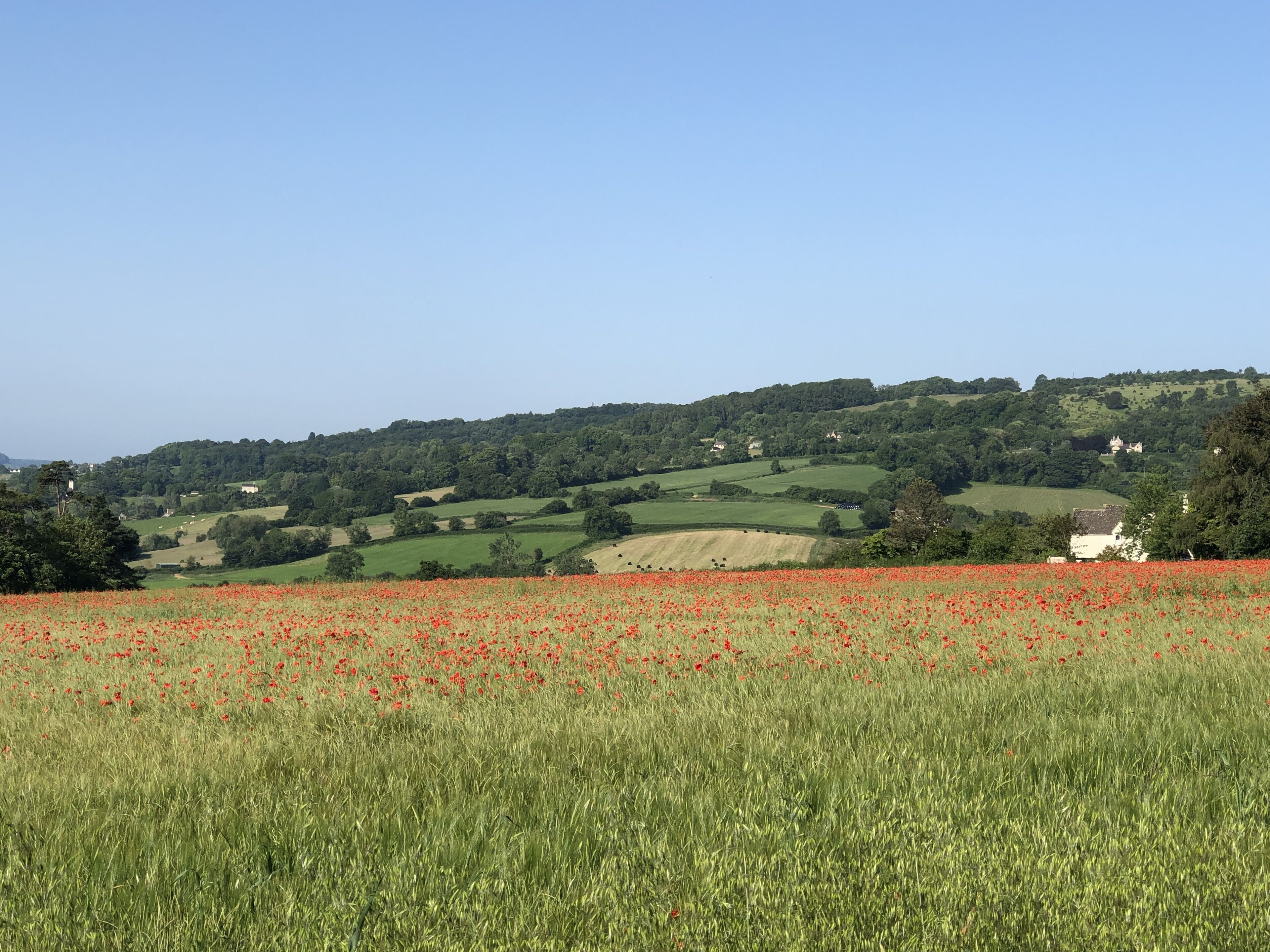 Cotswold Lodge