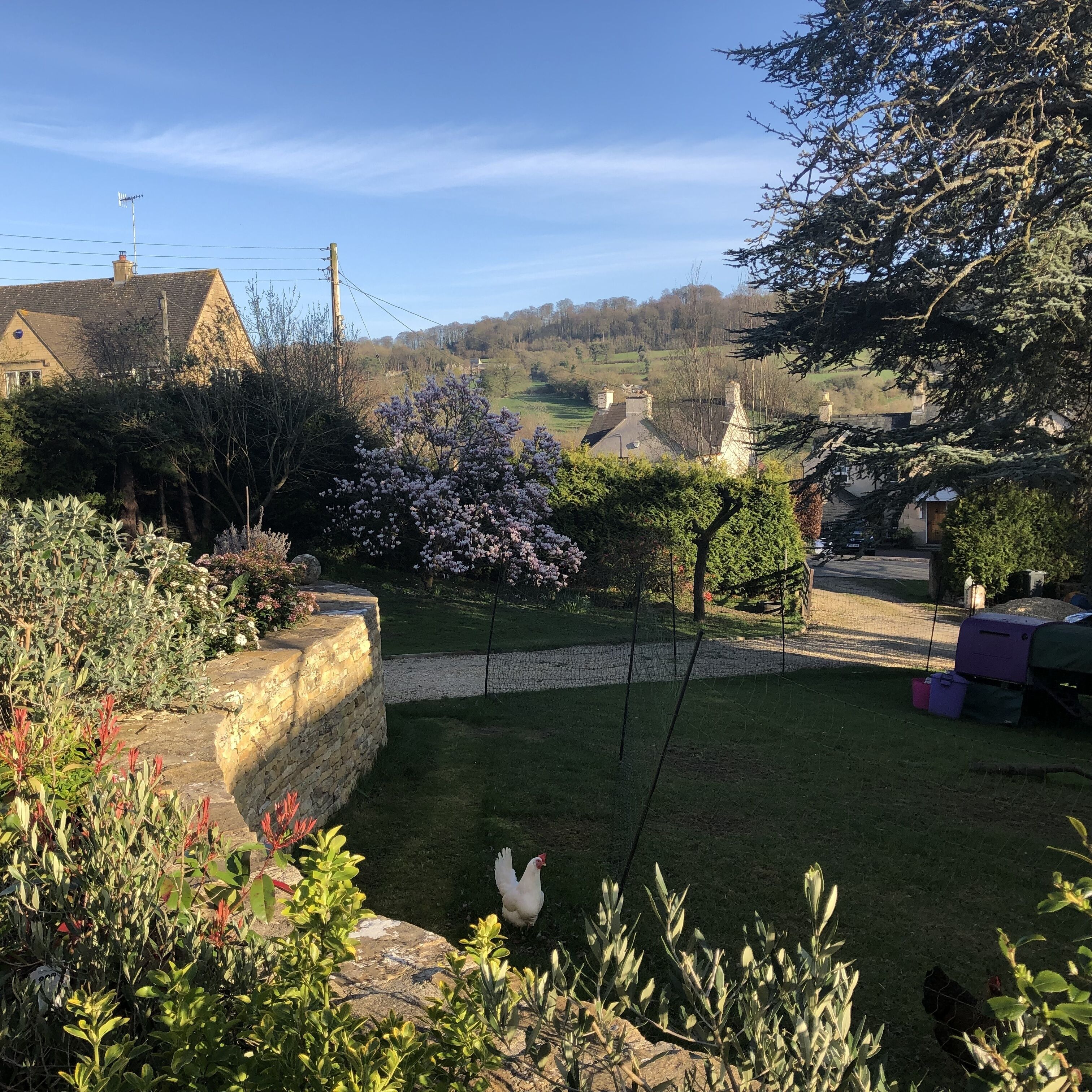 Cotswold Lodge