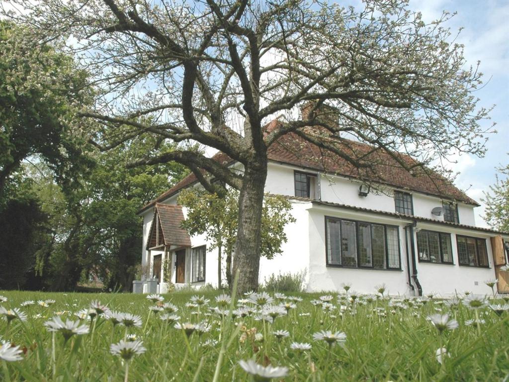 The White House B&B