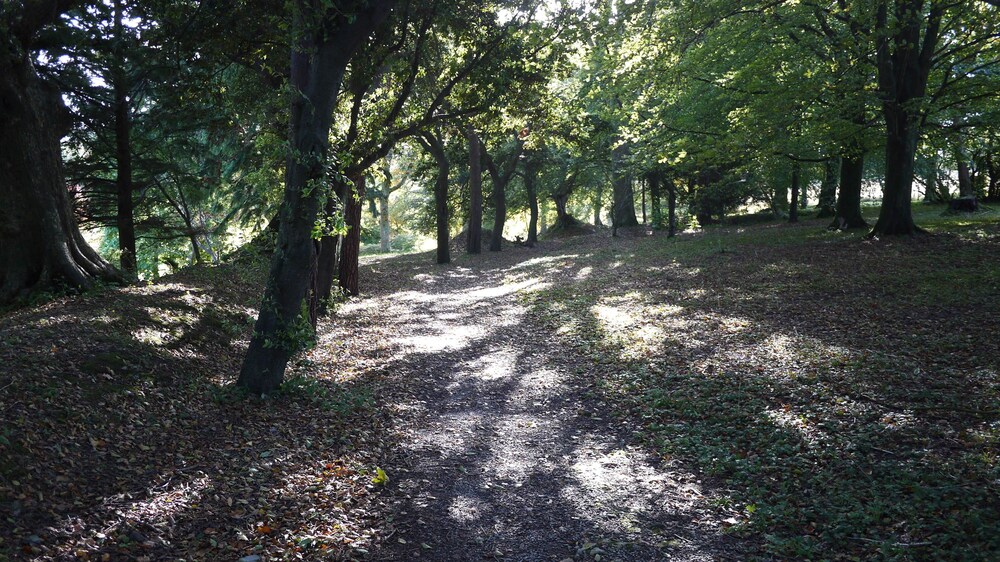 Dartington Hall