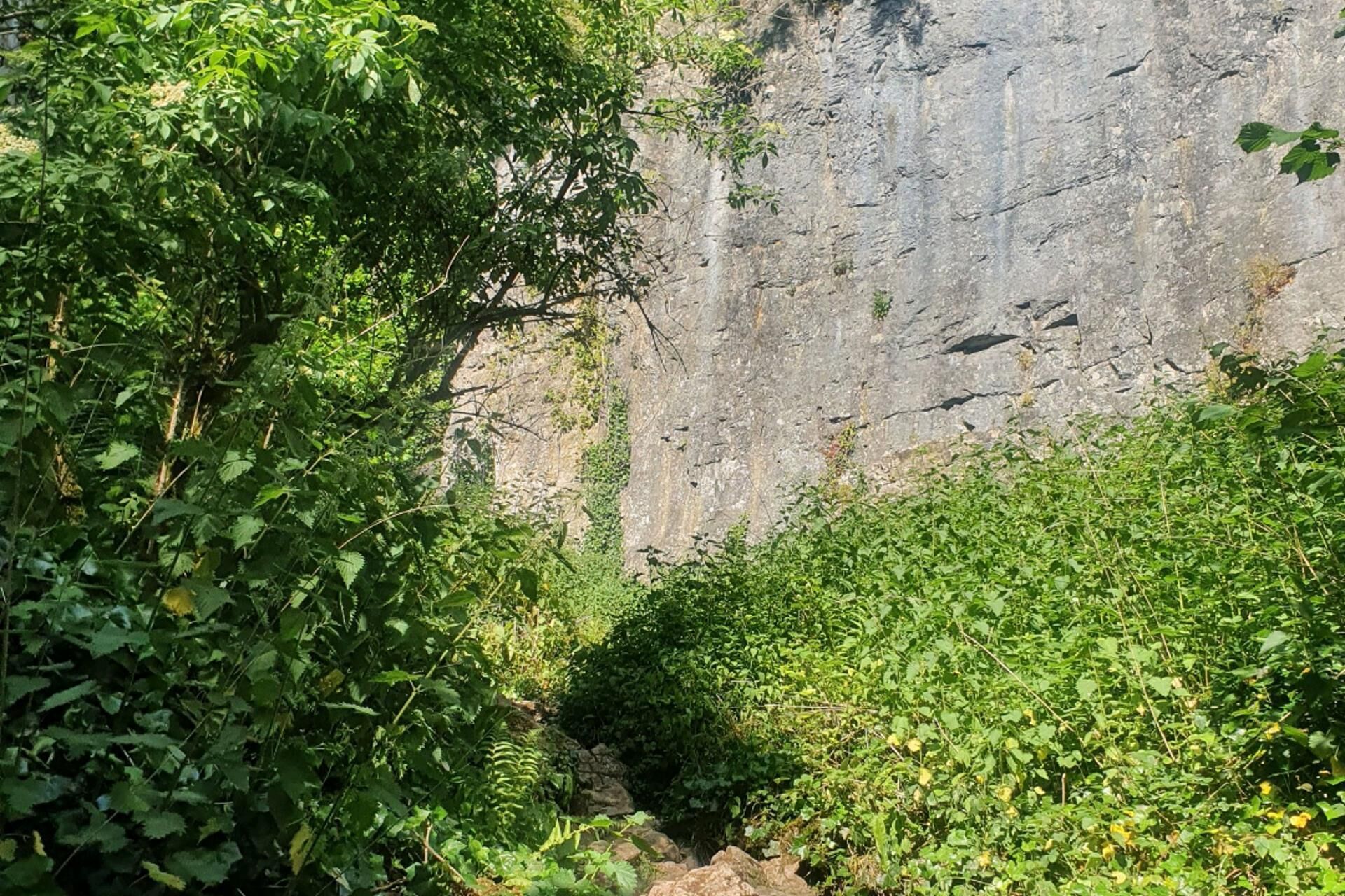 Tranquil Wells Retreat