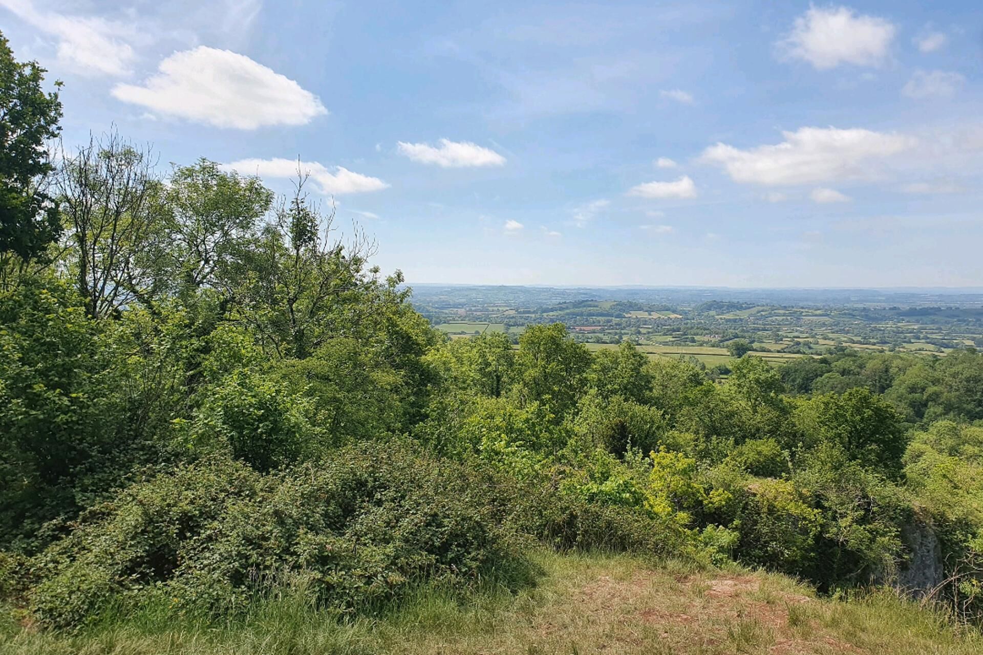 Tranquil Wells Retreat