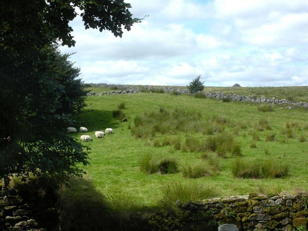 The Cherrybrook