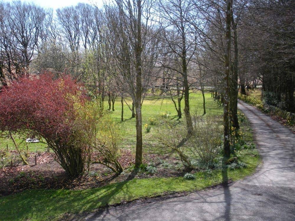 The Cherrybrook