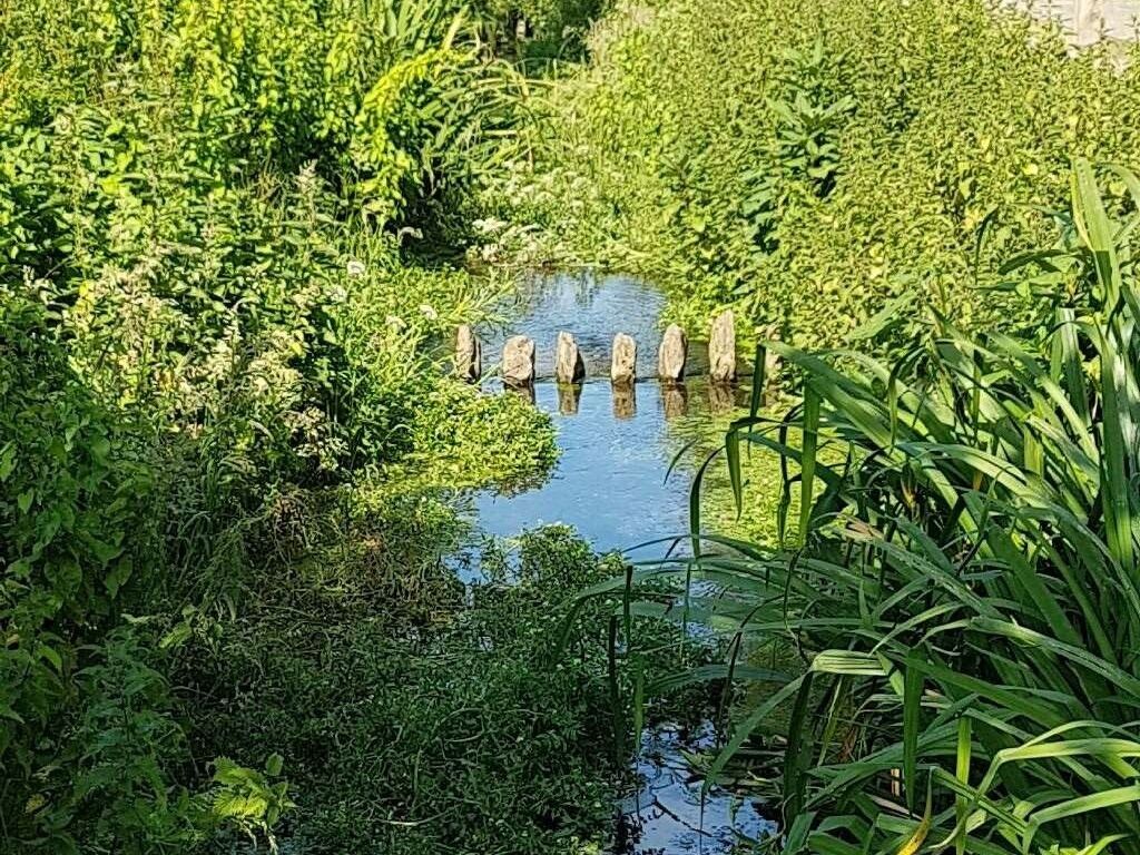 Streamside Apartments