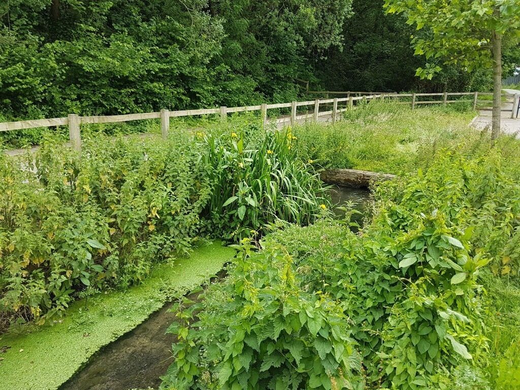 Streamside Apartments