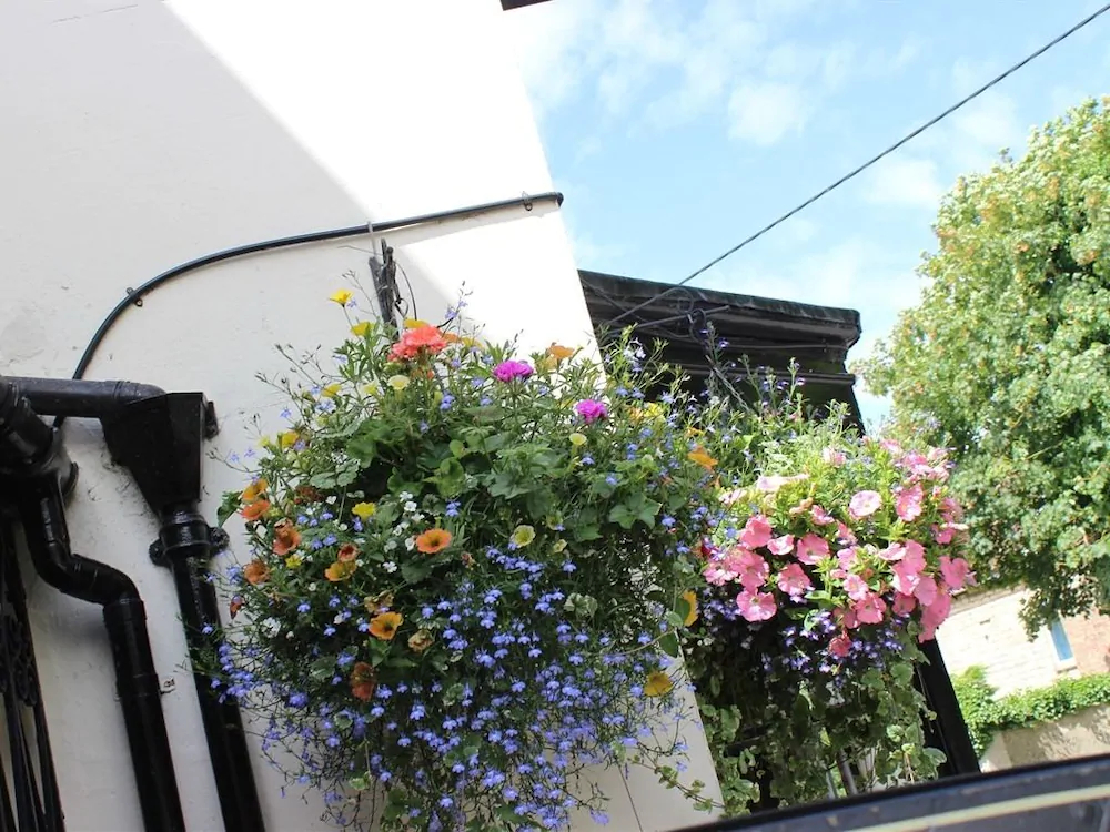 The Frocester George