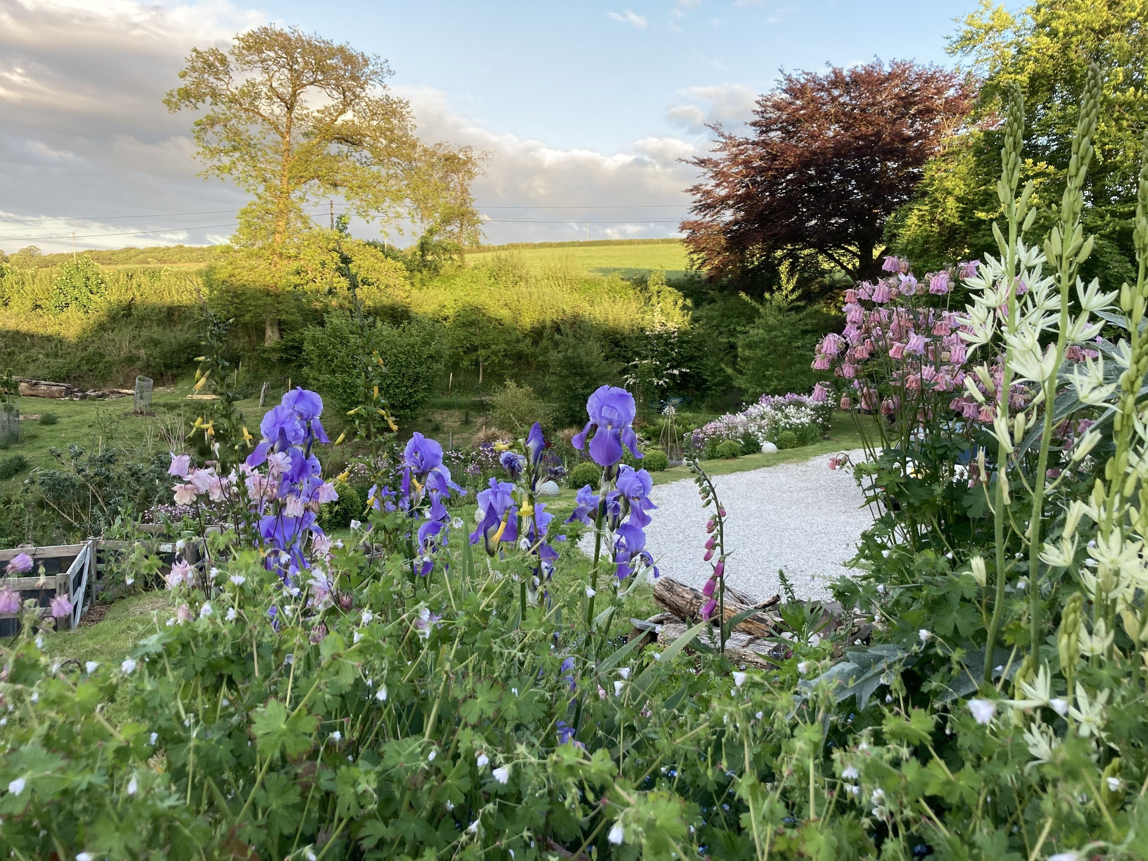 Frizenham Farmhouse B&B