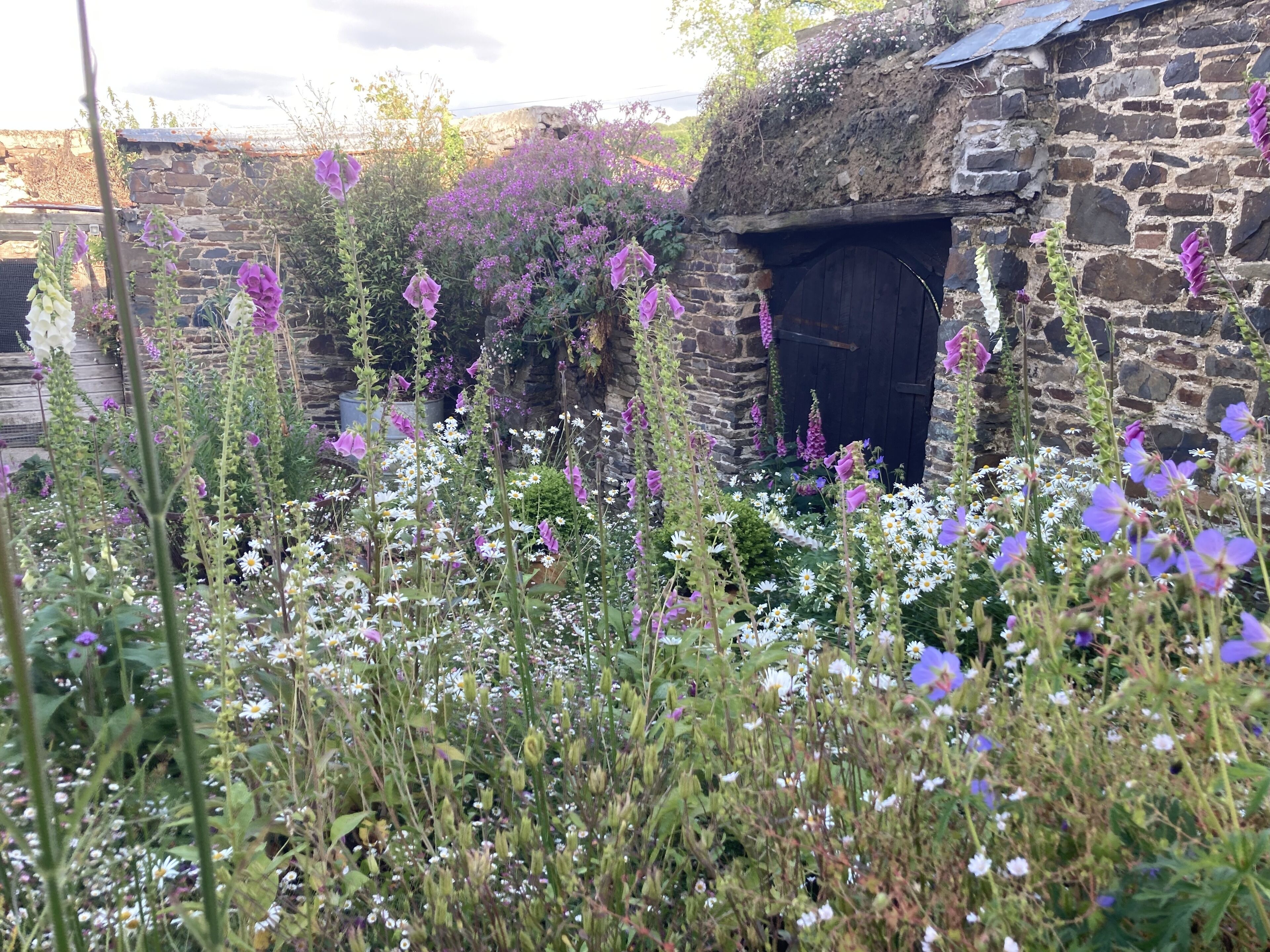 Frizenham Farmhouse B&B