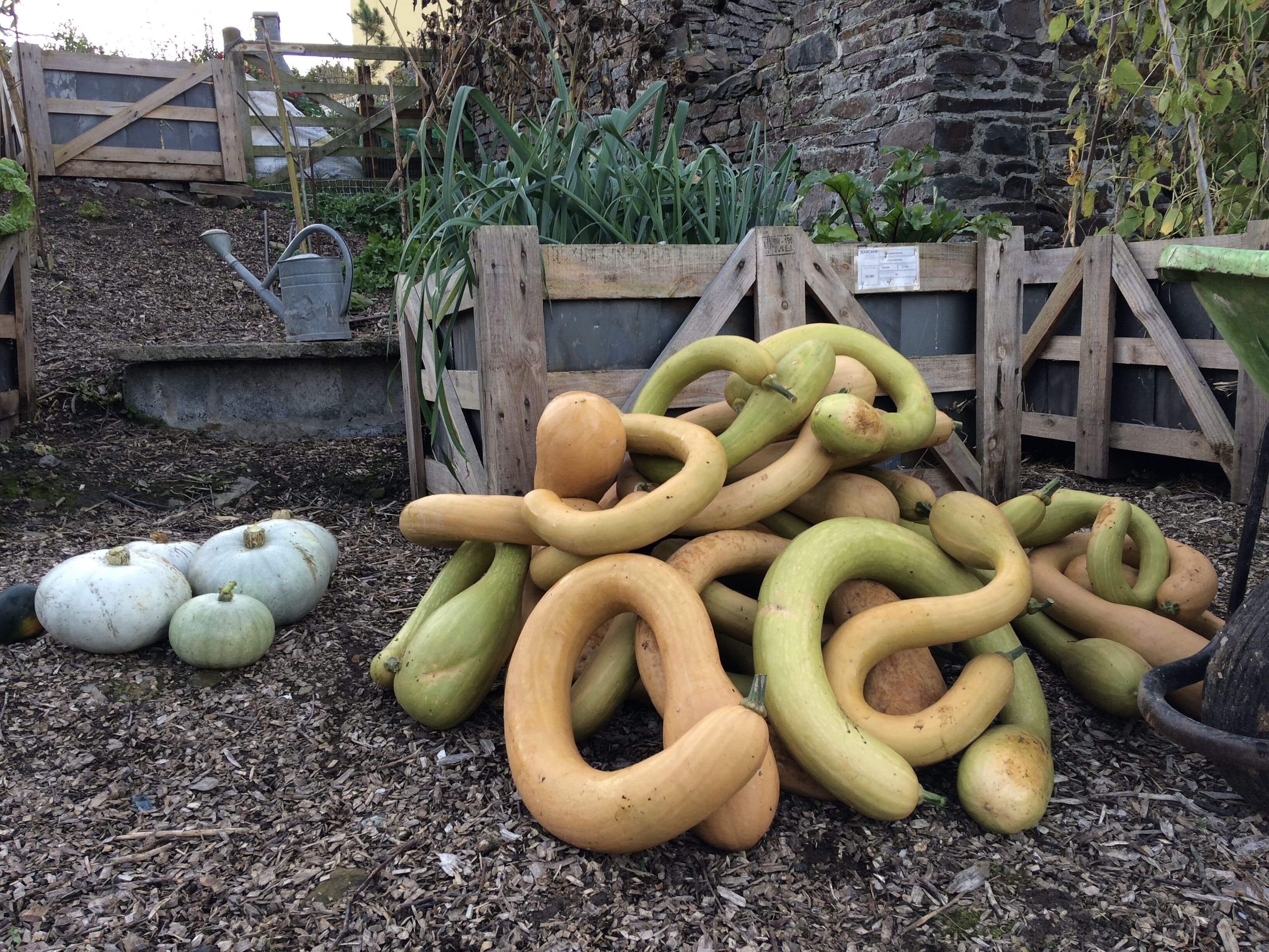 Frizenham Farmhouse B&B
