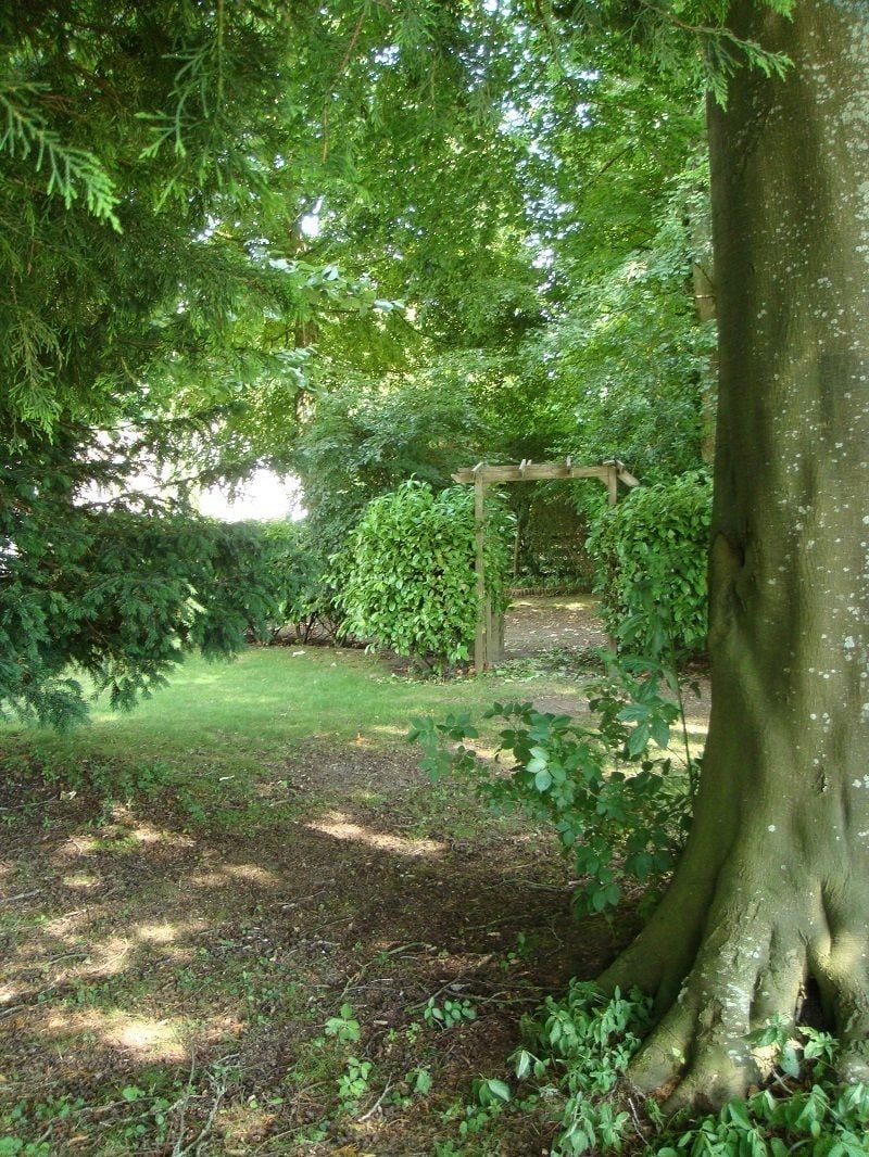 The Apple Wood