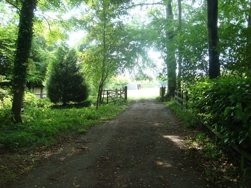 The Apple Wood