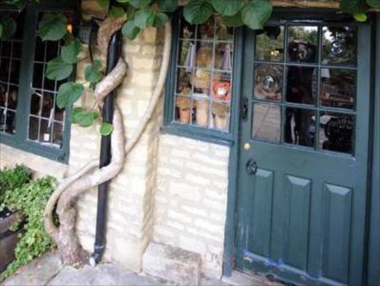 The Wild Duck Inn