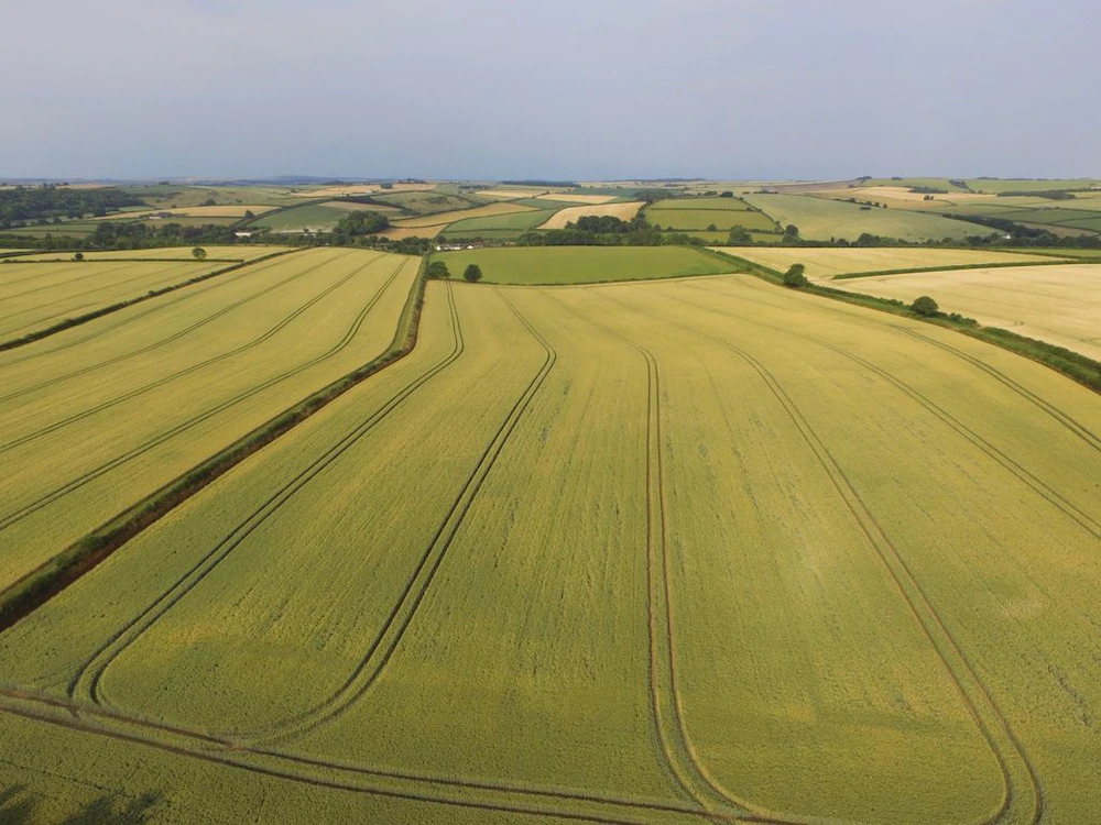 Carters Barn Farm