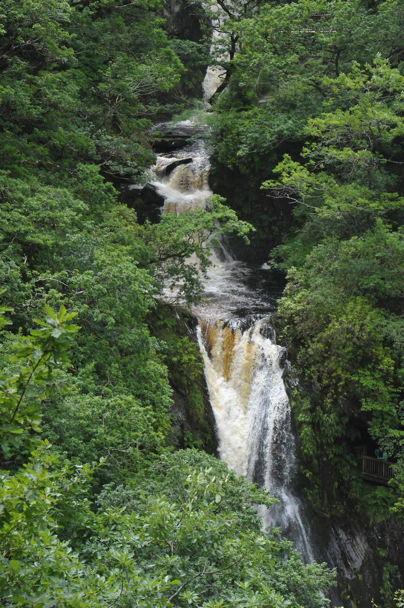 The Hafod
