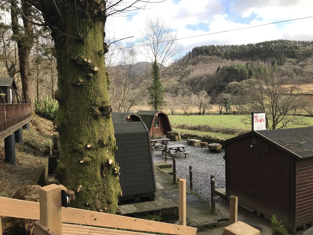 Bryn Dinas Camping Pods
