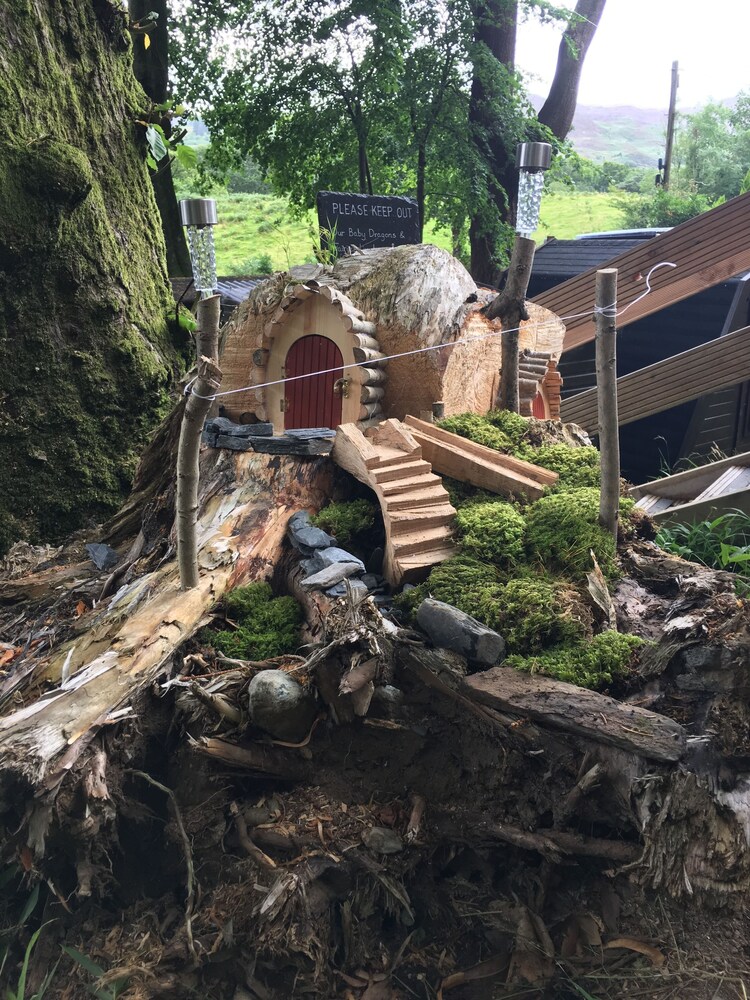 Bryn Dinas Camping Pods