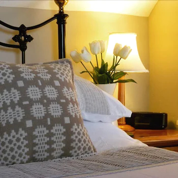 Llwyn Onn Guest House