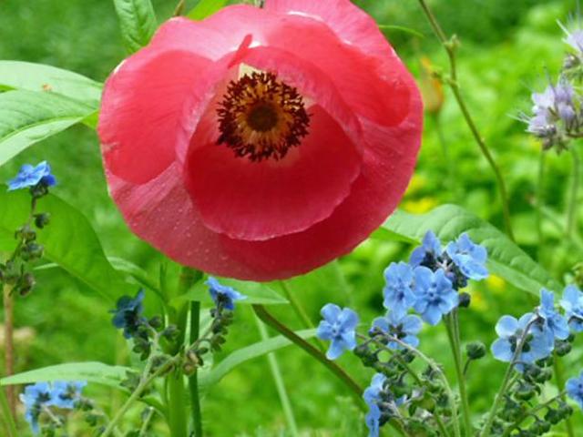 Tan Dinas Country House