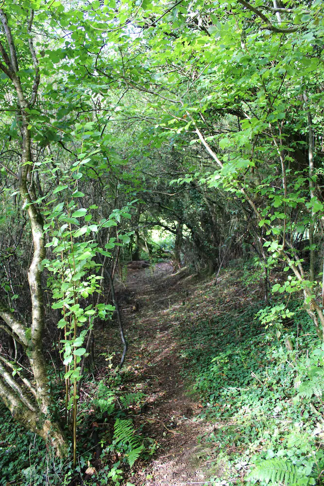 Caban-y-Bryn