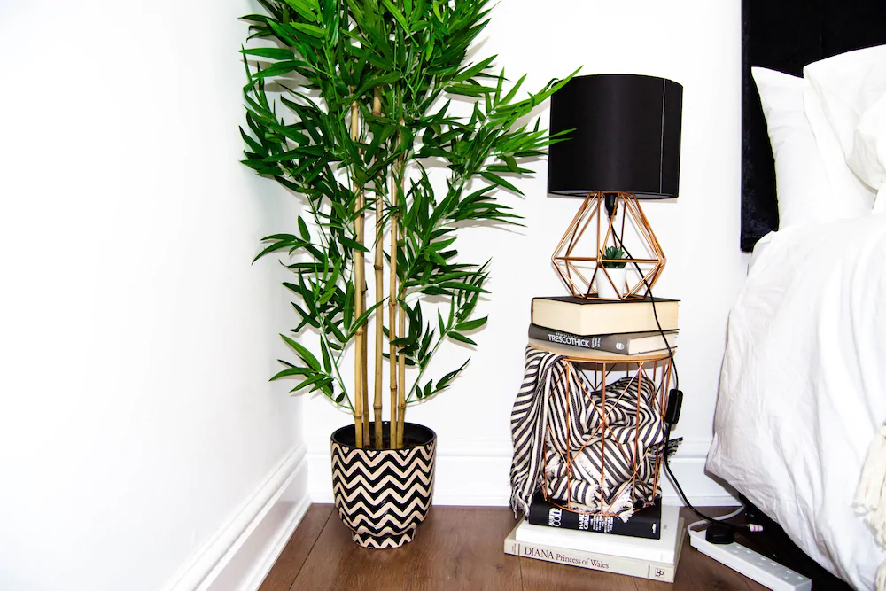 Phnix Central Luxury Accommodation