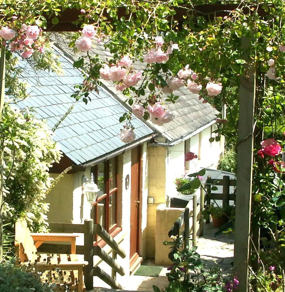 Brongwyn Holiday Cottages