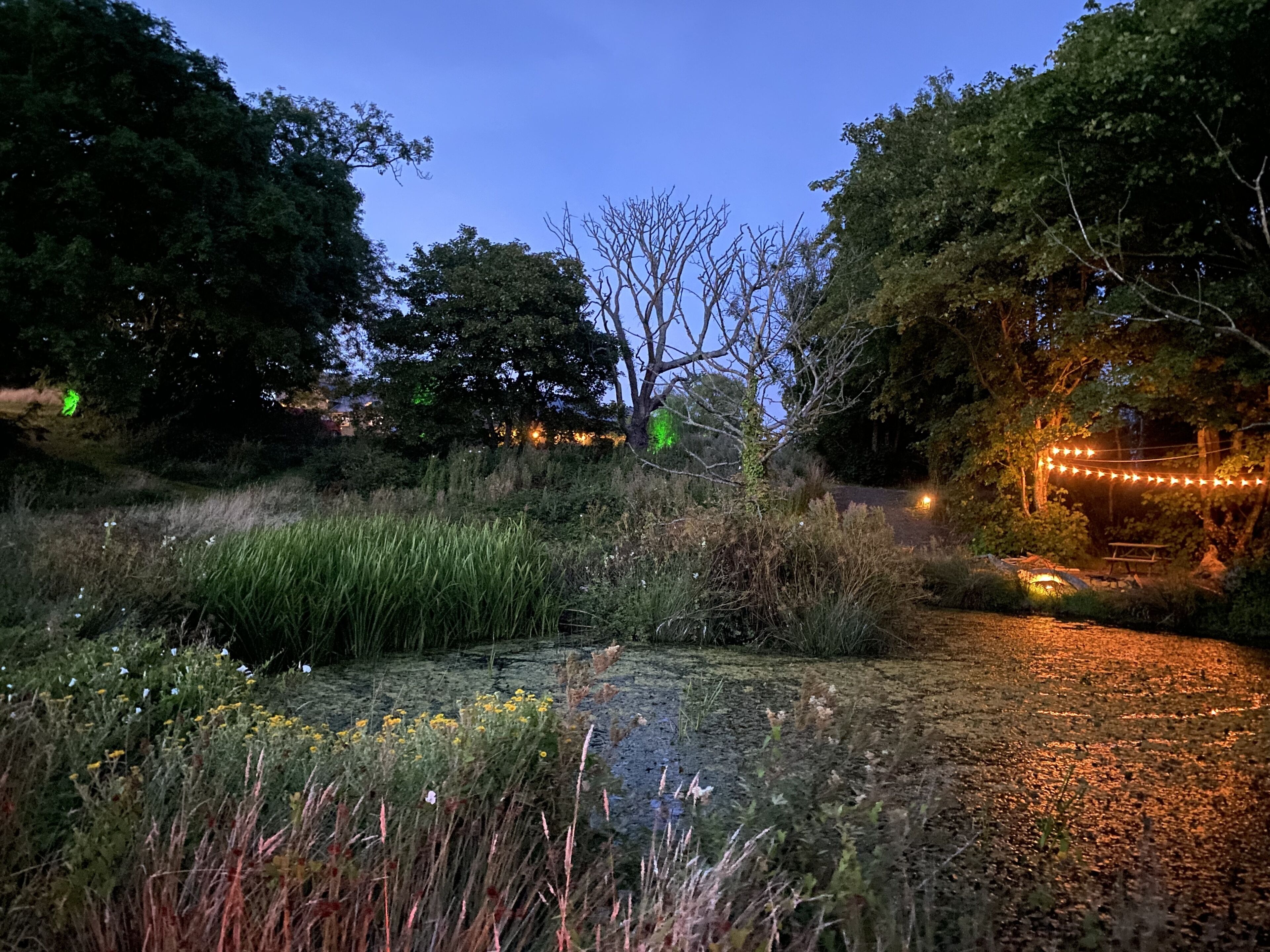 Lavender Luxurious Barn Conversion Blossom Farm