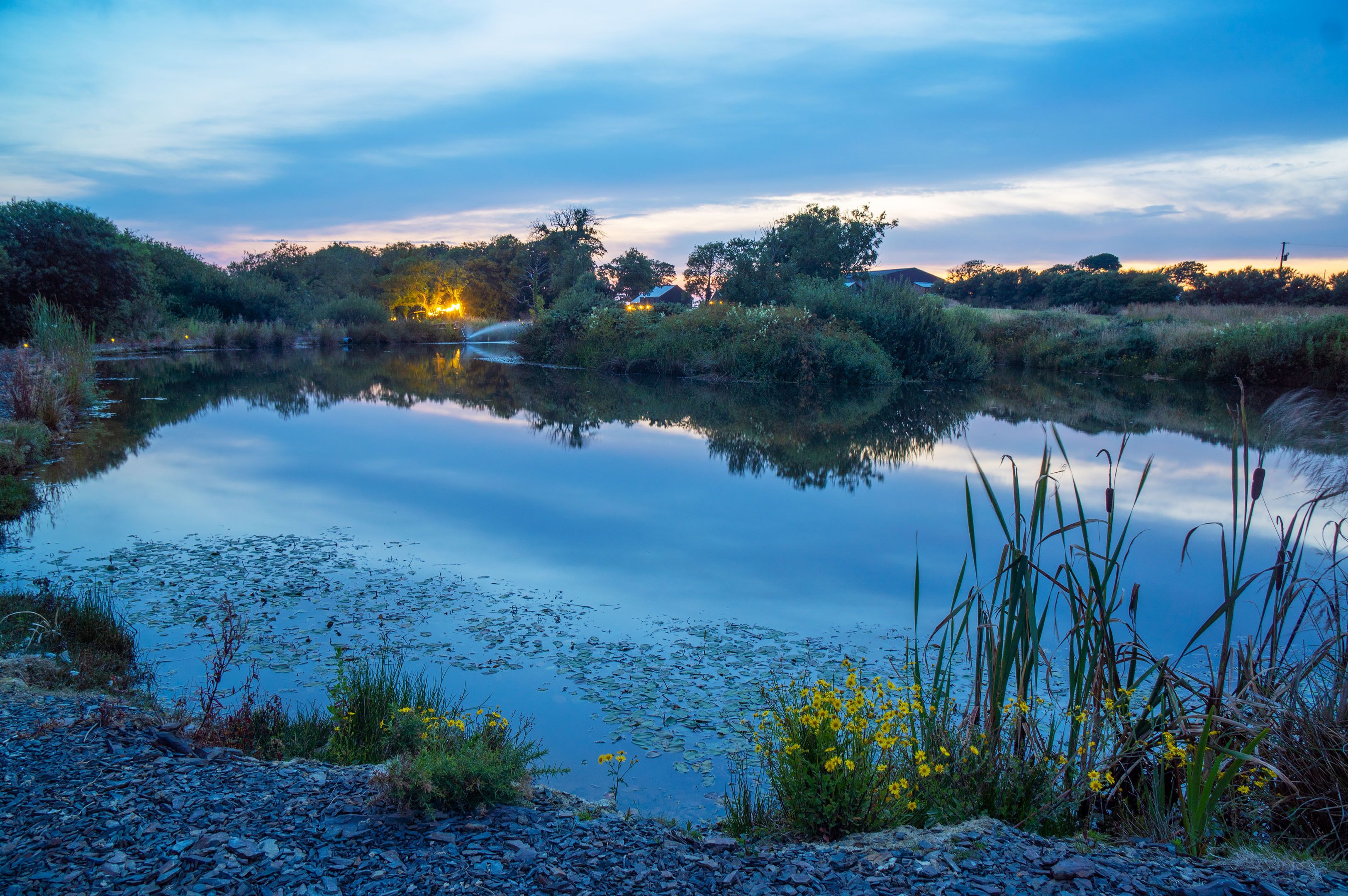 Lavender Luxurious Barn Conversion Blossom Farm