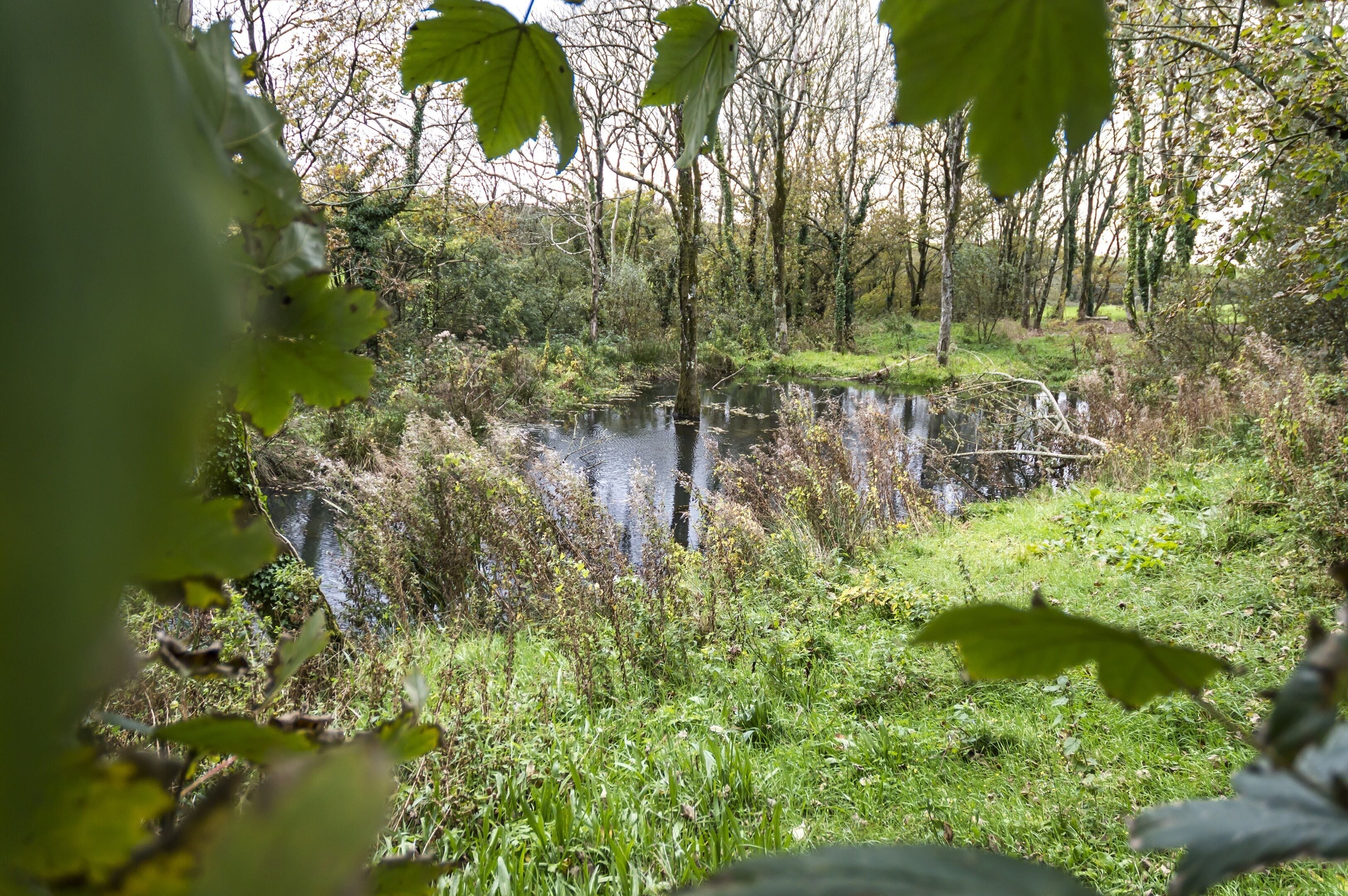 Lavender Luxurious Barn Conversion Blossom Farm