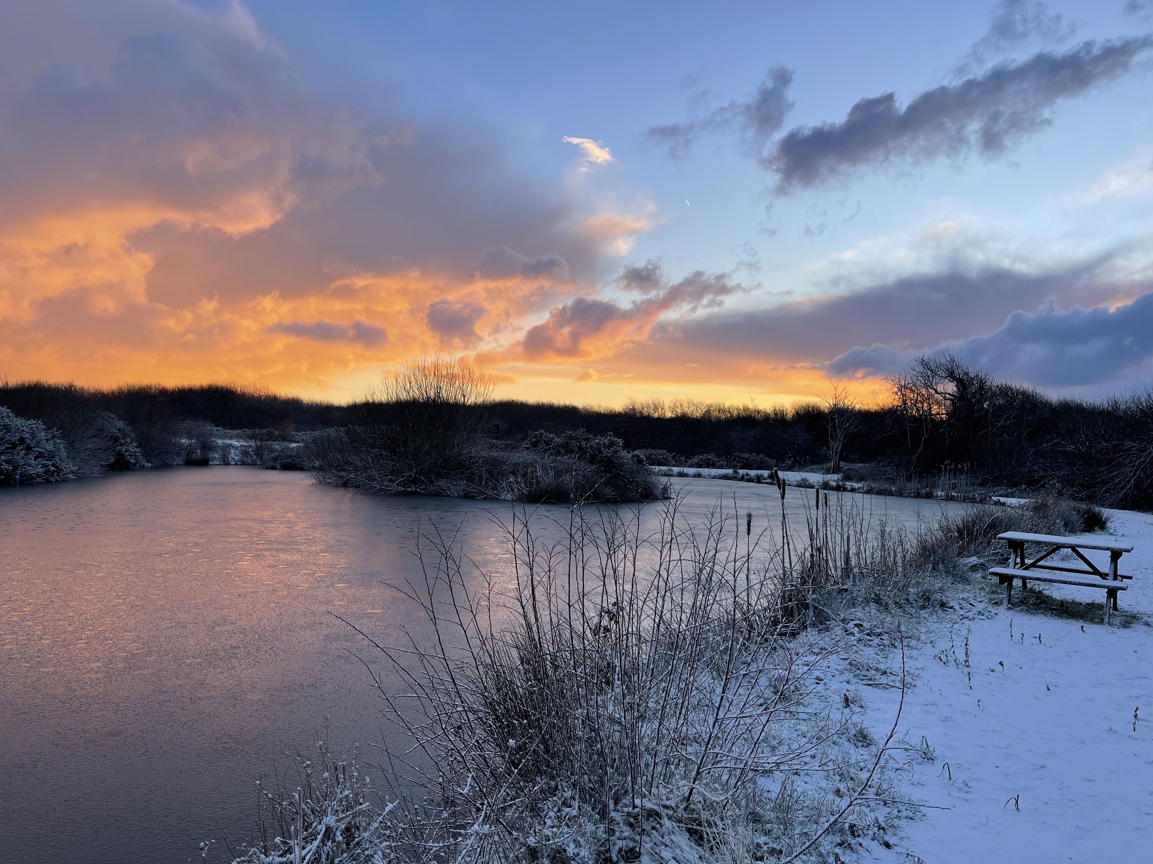 Lavender Luxurious Barn Conversion Blossom Farm