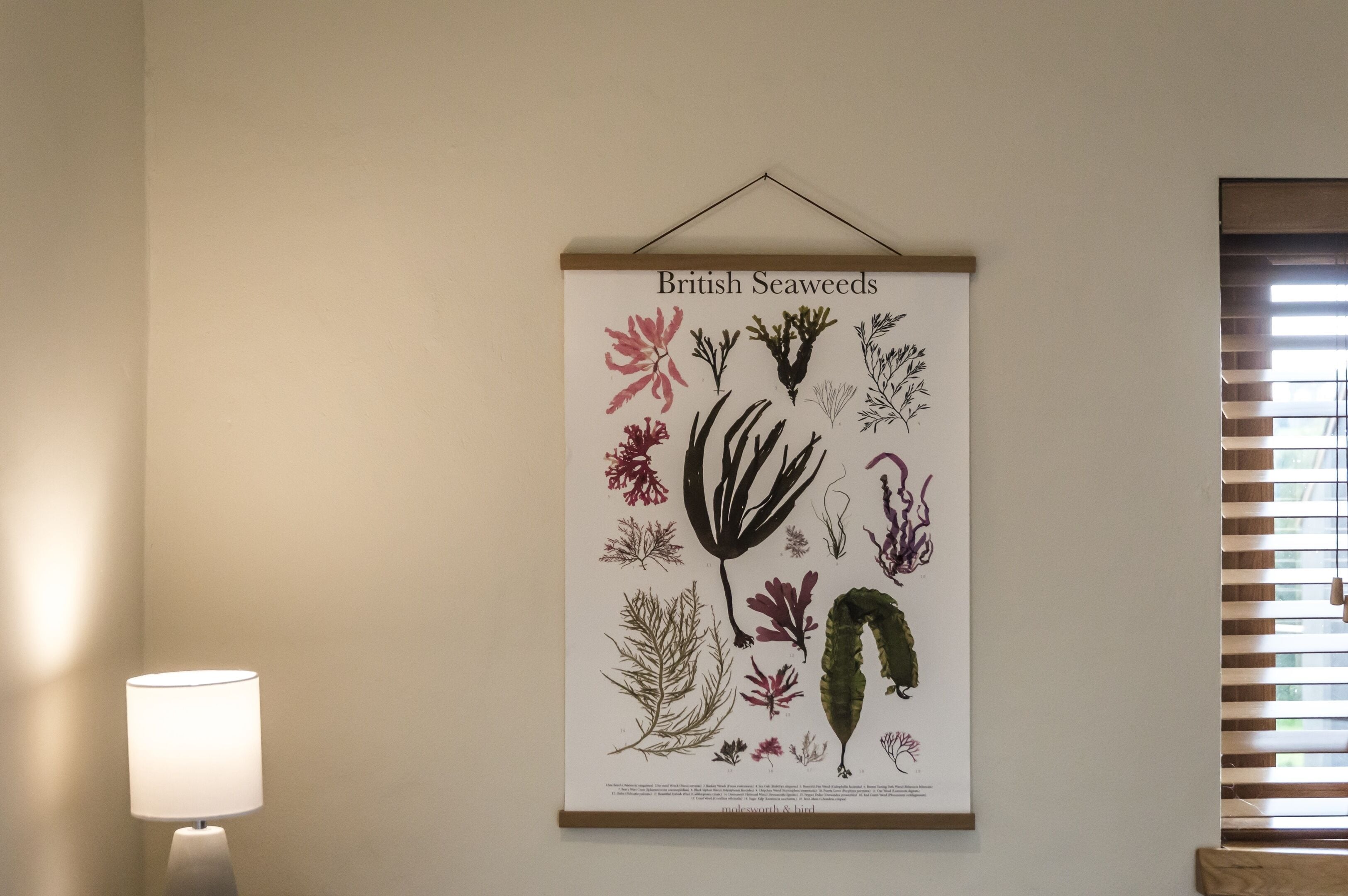 Lavender Luxurious Barn Conversion Blossom Farm