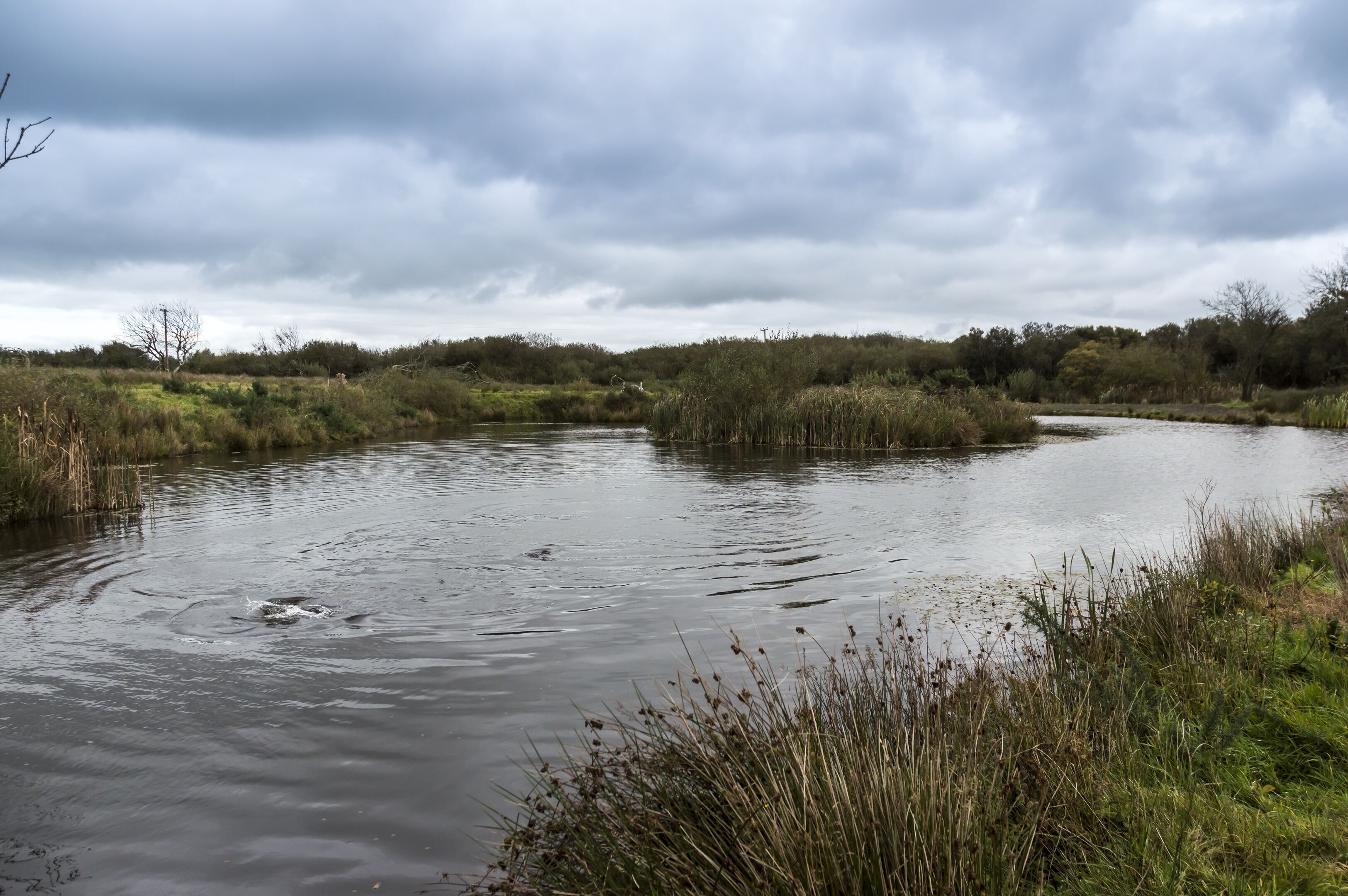 Lavender Luxurious Barn Conversion Blossom Farm