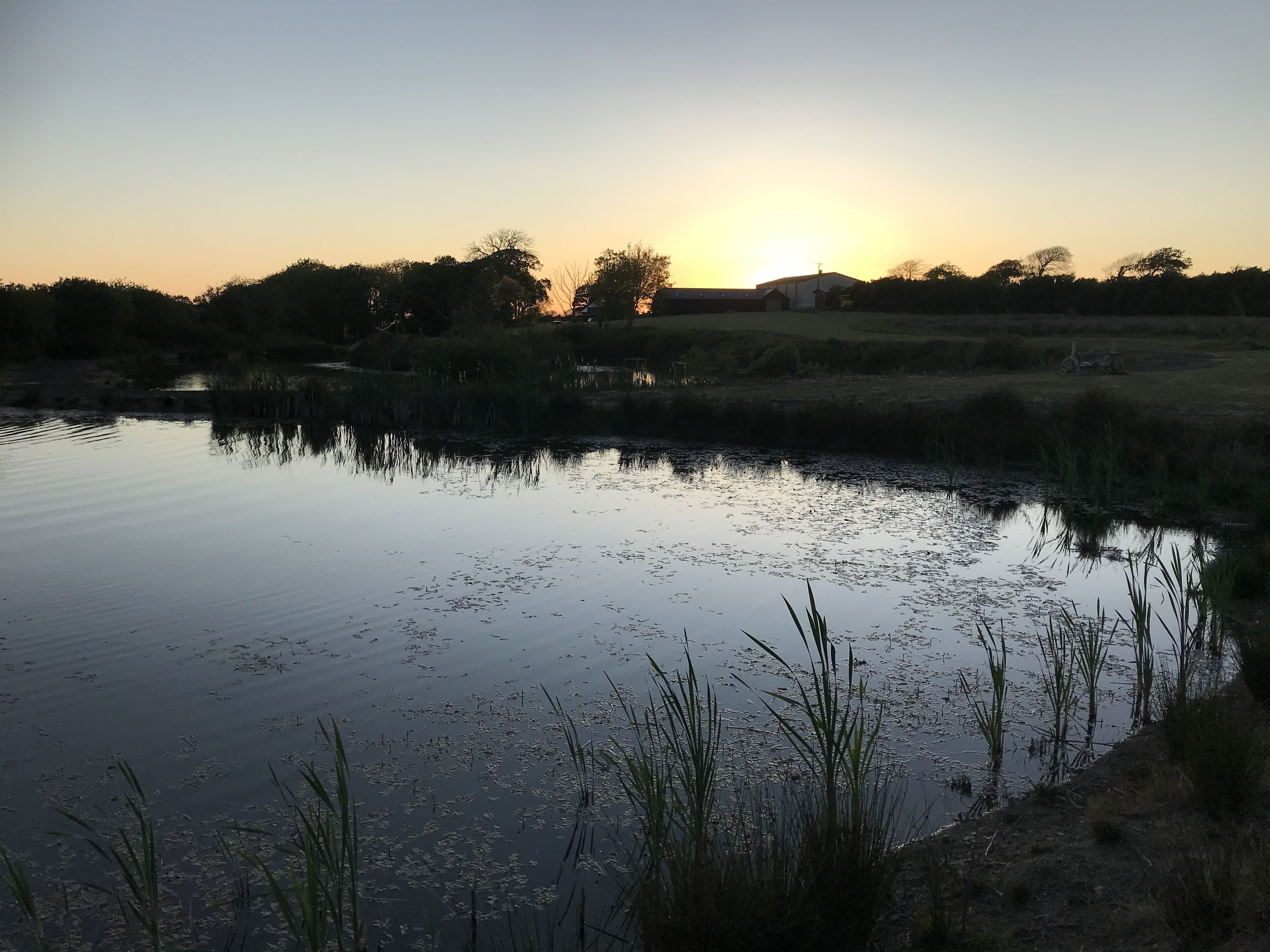 Lavender Luxurious Barn Conversion Blossom Farm