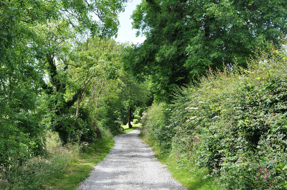 The Barn At Cae Bach