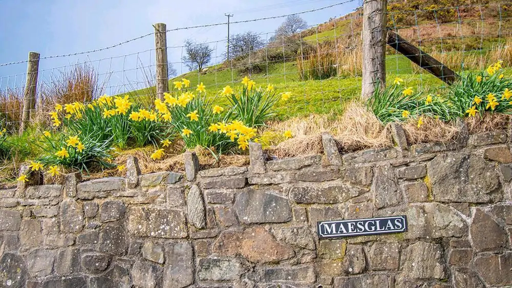 Maes Glas Cottages