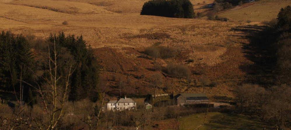 Arfryn House Bed & Breakfast